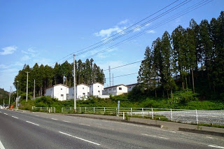 舗装された大きな道路の向こう側に、白い外壁の建物が数棟並び、その背後に背の高い杉林が広がっている写真