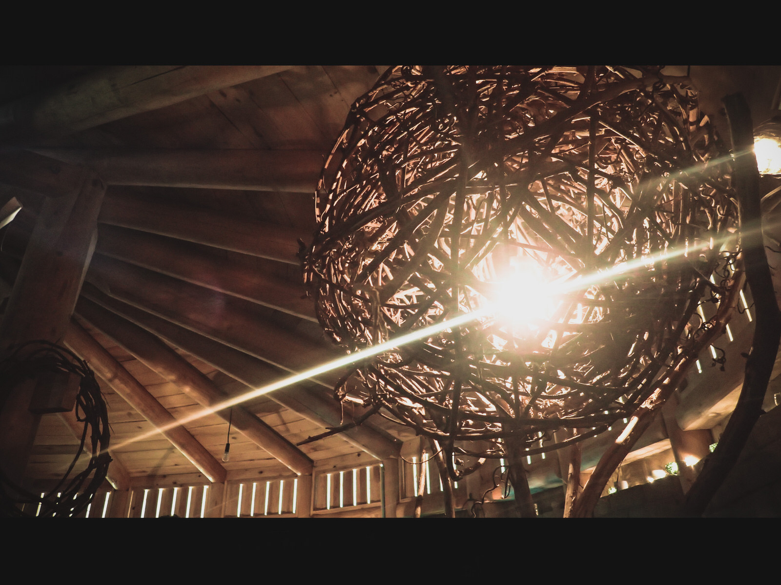 植物のつるで丸く形どったランプシェードから電球の光が漏れている写真