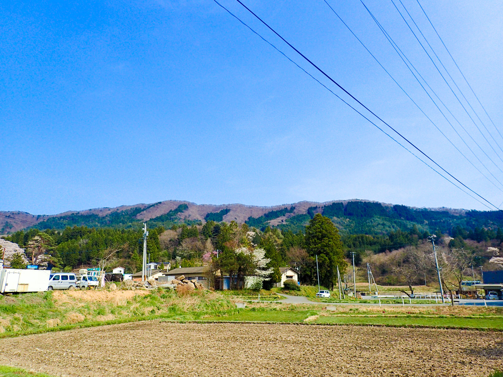 田畑の先に森が広がり、惣内山の稜線が見える写真