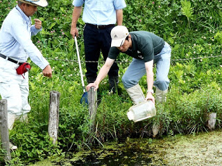 長靴を履いた男性たちの中で手前の男性が、川岸から仕掛けた容器を用地からすくい上げている様子の写真