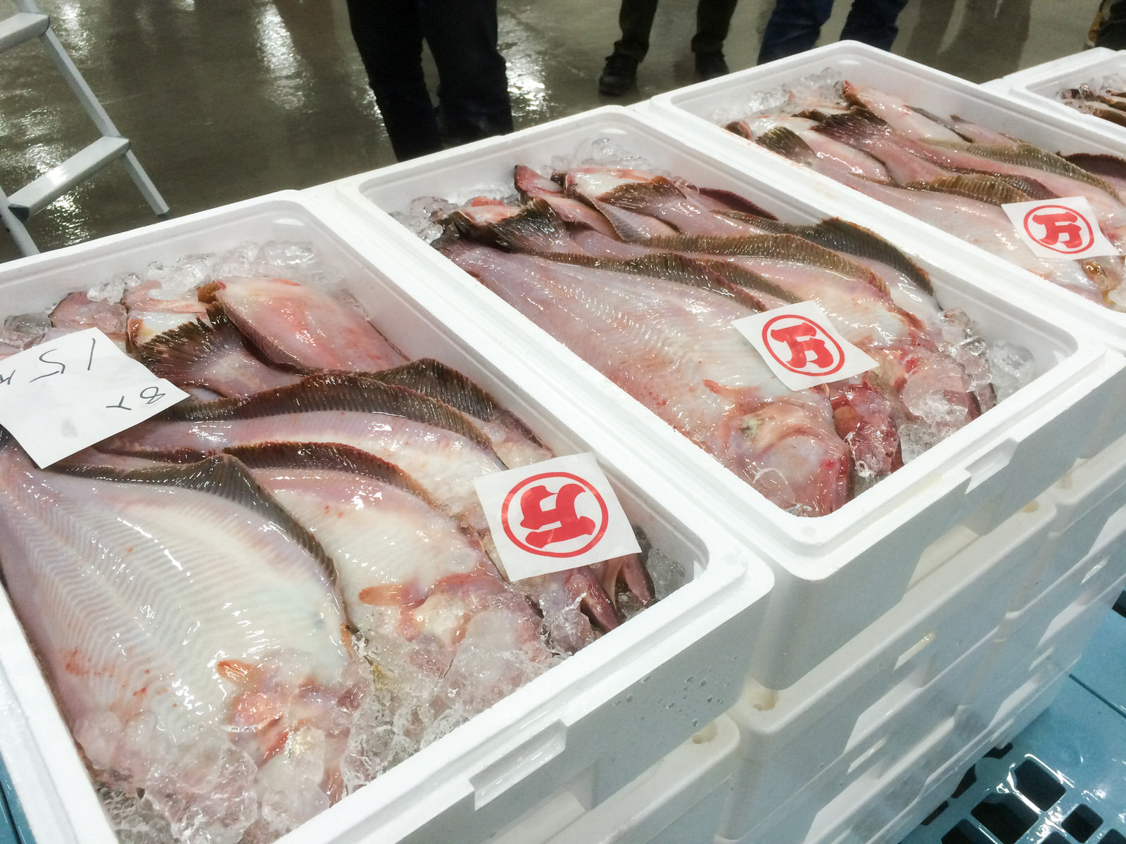 光沢のある赤カレイが氷を敷いた白い発泡スチロール箱に詰められたものがたくさん積み重なり並んでている写真