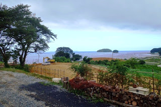 海と小島を見下ろす高台からの眺めで、手前には畑や重機、2本の木が立つ敷地内には薪が積まれ、遠くに水平線が広がっている写真