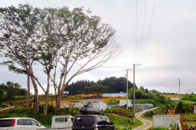 曇り空の下、道路沿いに駐車した車越しに、大きな木と造成中の広い土地、重機や仮設建物が見える写真