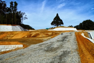 砂利道の先や左右に擁壁が設置され、区画整備された土地があり、一段高くなった土地に一本の大きな木が立っている写真