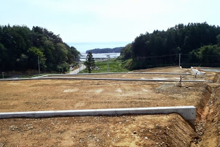 造成された宅地がきれいに整備され、区画ごとの基礎や縁が整った状態で、正面の道路と緑の木立、その奥に海を見下ろす高台移転地の写真