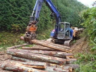 林の中で青いショベルカーが太い木材を掴んで積み上げている作業の様子が写っている写真