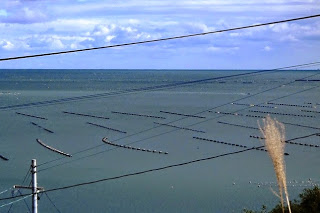 上空には雲が広がり海に多数の養殖用いかだが並び、養殖場の様子を高い所から撮った写真