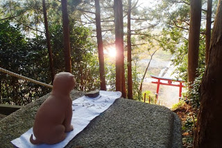 木々の間から柔らかな日の光が差し込み石の上に白い布が敷かれ、その上に犬の置物が置かれ遠くの赤い鳥居を見てる写真