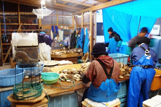 屋根付きの作業小屋の中で、青い作業着を着た複数の人がホタテの選別や加工作業をしている様子の写真