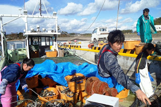 オレンジ色のたくさんのホタテが入ったコンテナが置かれた漁船の甲板の上で、漁具の整理や準備をしている様子が写っている漁船の写真