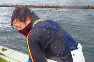 雨と風が吹く悪天候中、船上で作業をしている男性漁師を写した写真