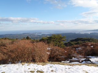 手前に雪が積もった草地と赤茶けた木が広がり、その奥に常緑の松林や広がり、遠くに海岸線と海が見える写真