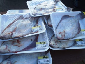 食品トレーに包装され、値札がつけられた魚が山積みで置かれている売り場の様子を写した写真