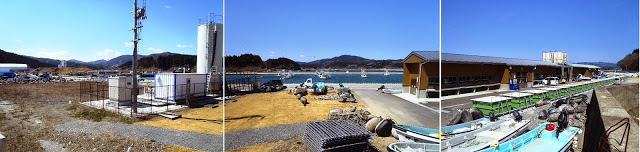 晴天のもと、岸壁沿いに小型漁船や養殖資材が並び、右手には茶色い細長い建物のカキの作業場のパノラマ写真