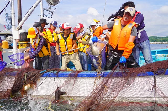 定置網揚体験で大人の方が引き上げている網から、タモで魚をすくっている子供たちの写真