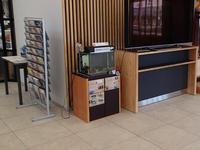 広々とした室内の一角に、大型テレビの横に設置された小さな水槽があり、その下にはパンフレット類が貼られたキャビネットが置かれ、左側には多数のチラシが並ぶラックが立っている写真