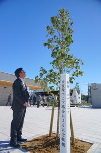 屋外の広場でスーツ姿の町長が、天皇皇后両陛下の御来県を記念して植えられた若い記念樹の前に立ち、木を見上げている写真