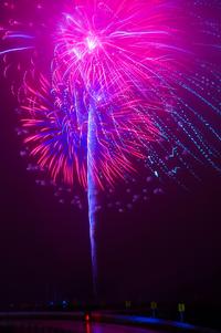 夜空に色鮮やかな青色が混ざったピンクの大きな花火が打ち上がっている写真