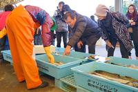 来場客の男性が、水色のコンテナに入っているサケを指さし選んでいる様子の写真