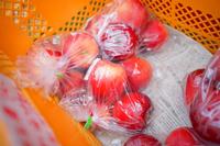 オレンジ色のカゴに入れられたビニール袋に包まれた赤いリンゴがいくつも並んでいる写真