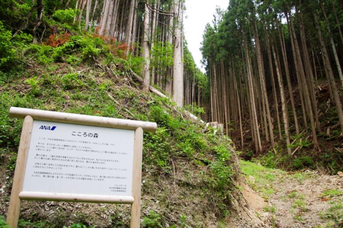 真っすぐに伸びる細い杉の木々が奥まで並んでいる森林の中の坂道の入り口に「ANAこころの森」と書かれた案内板が立っている写真