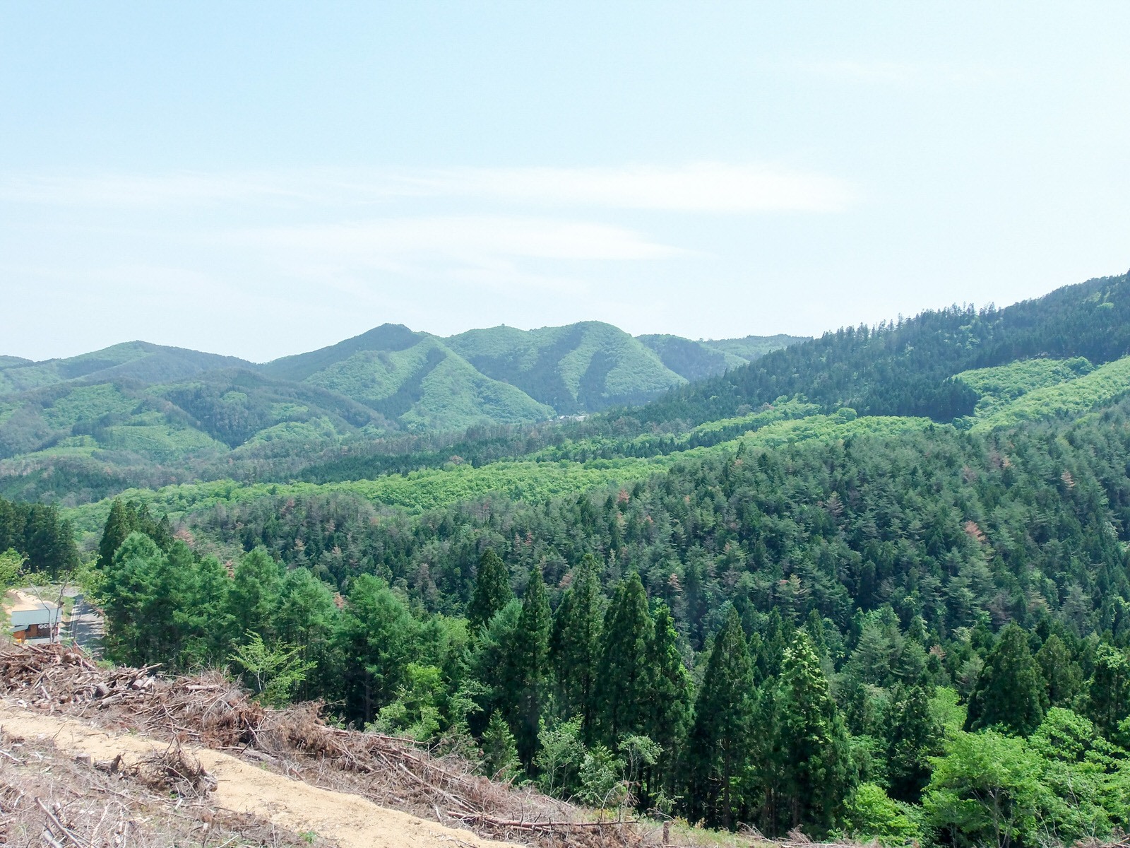 広がる山並みと深い緑に覆われた森林地帯を、木々が伐採された場所から見渡した風景の写真