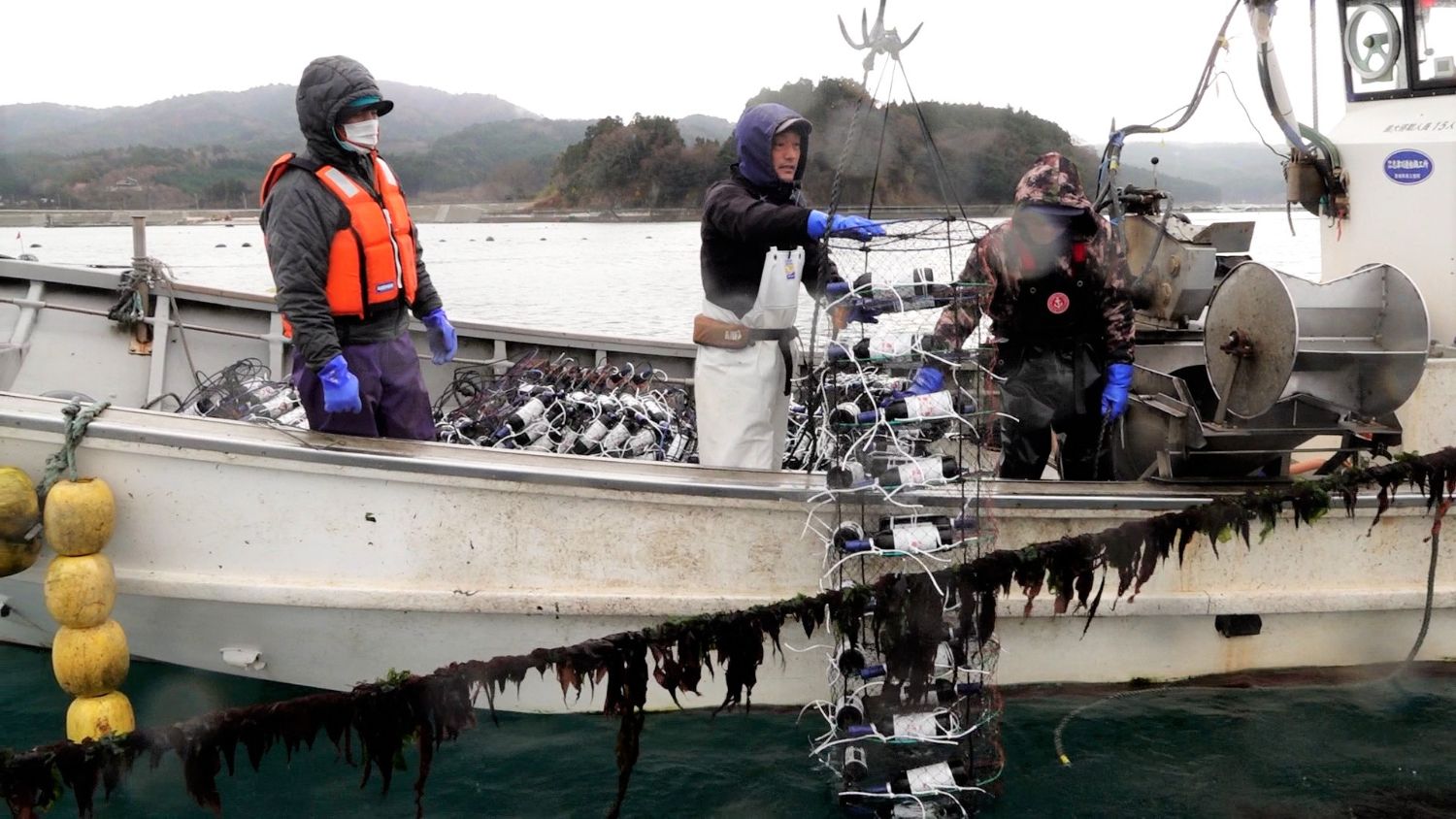 漁船に乗った男性が、ワインボトルが入ったカゴを海の中に入れようとしている様子の写真