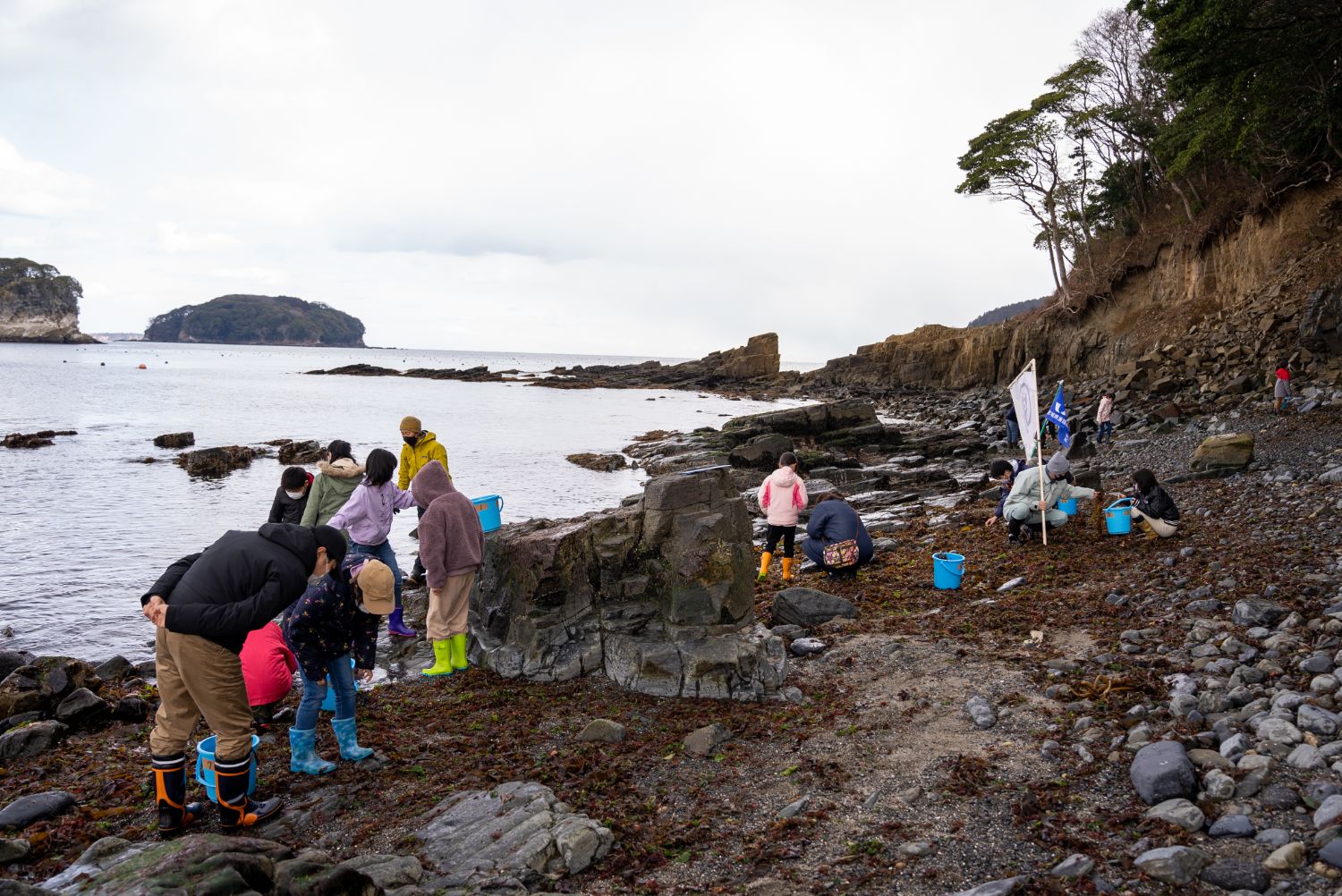 南三陸の海岸で、南三陸少年少女自然調査隊の参加者たちが青いバケツを持って海藻や生きものを探しながら岩場や海岸を丁寧に観察している様子の写真