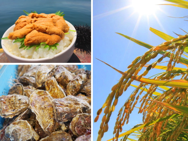 白いご飯の上にたくさんのウニが乗ったウニ丼、青い空の下で黄金色に実る稲穂、牡蠣がぎっしりと詰まった籠の3つの写真を組み合わせたコラージュ写真