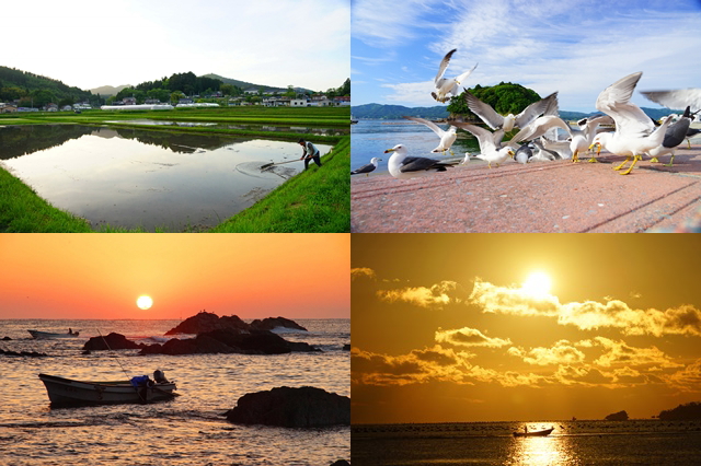 左上: 薄曇りがさす空の下、山と住宅地を背景に、男性が田んぼの水面を整備している農村風景の写真。右上: 青空の下、海辺の歩道で多くのカモメが飛び立ったり集まっていたりする様子の写真。左下: 水平線に近づいている太陽の光で空が赤く染まっている中、岩場のある海に浮かんだ小舟に乗って漁をしている人の姿がシルエットになって見えている風景の写真。右下: 黄金色に染まる太陽が雲と空や、静かな海に浮かんでいる小さな船を照らしスポットライトが当たっているような美しい光景の写真