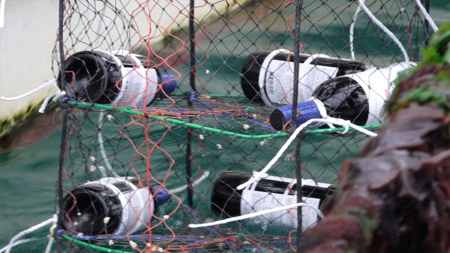 ワインボトルがしっかりとかごの網に固定されている様子の写真