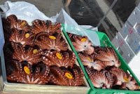 青いプラスチックのケースにたくさんの茹でたタコが並べられ、販売されている様子の写真