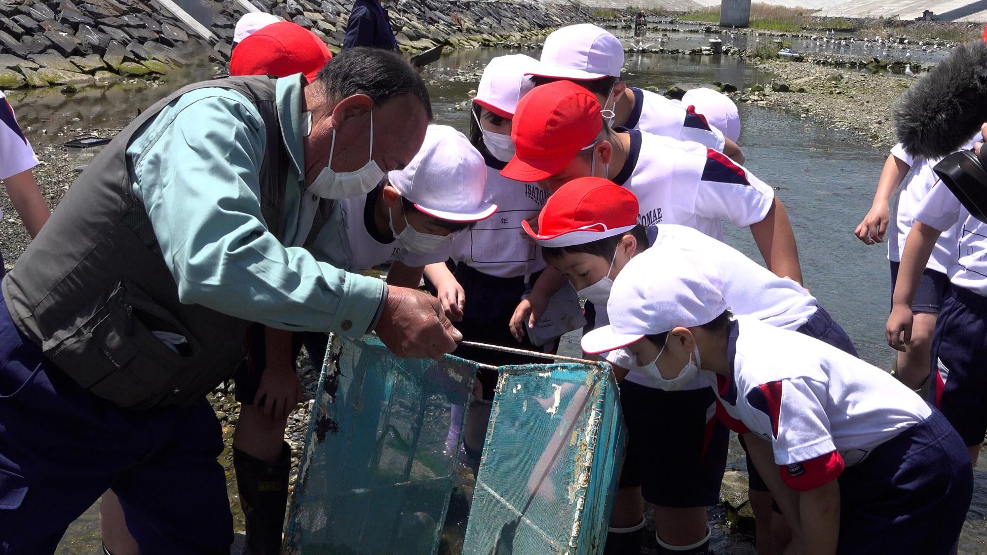 年配の男性が川辺で網を使ってすくい取った小さな生き物を、赤白帽子を被った小学生の子どもたちが興味津々に中身を覗き込んでいる写真
