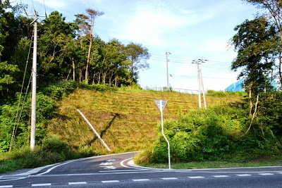 傾斜地が緑に覆われて草が生い茂る法面の脇を舗装道路が通っている写真