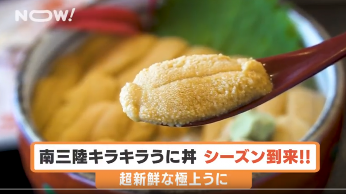 南三陸キラキラうに丼シーズン到来の文字とスプーンですくった雲丹の写真