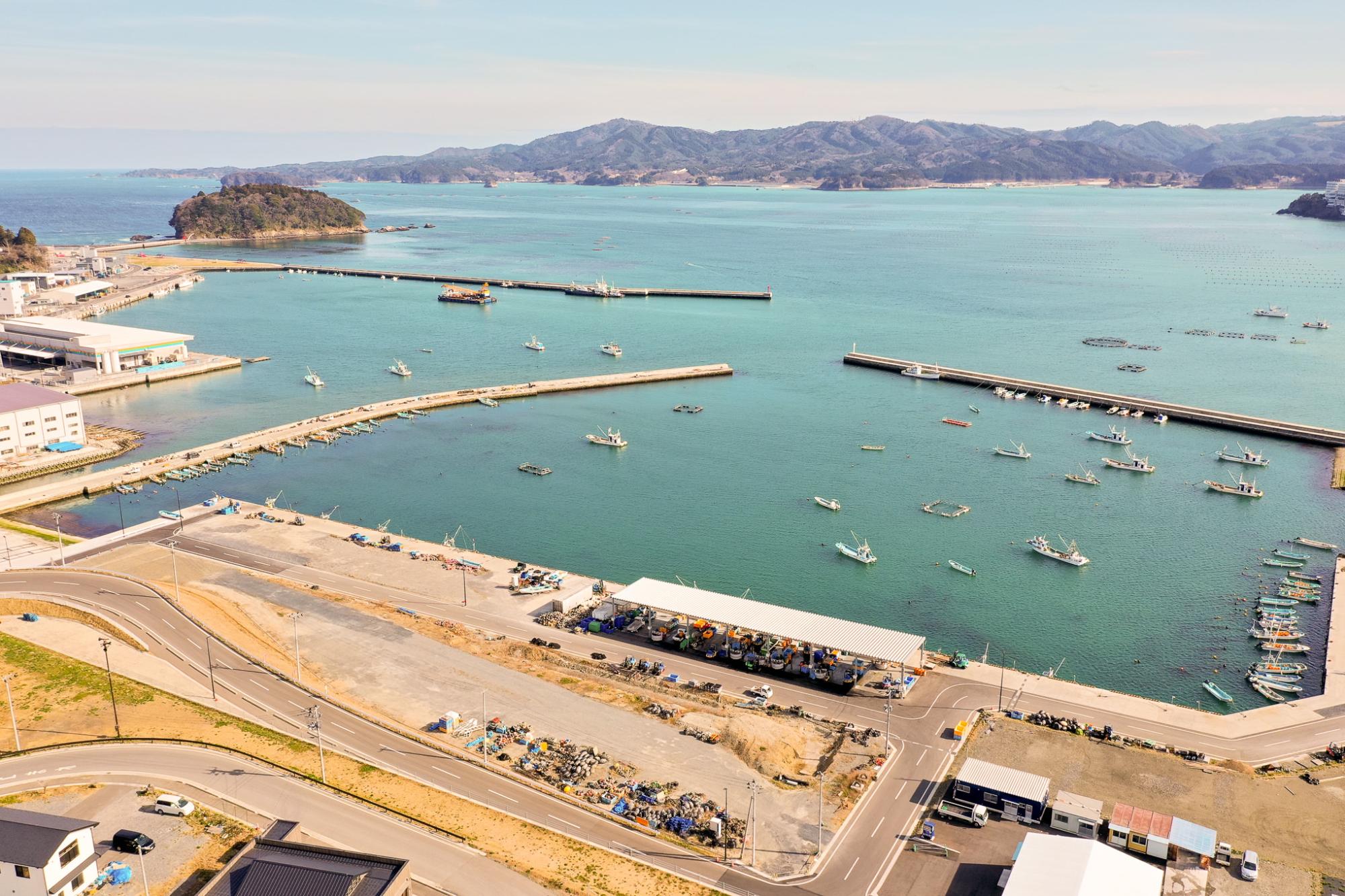 多数の小型船が停泊する港を中心に、複数の桟橋が海に突き出し、海岸沿いには建物や道路が広がり、背景には山々が連なり、穏やかな水面と澄んだ空が広がる海沿いの港町の写真