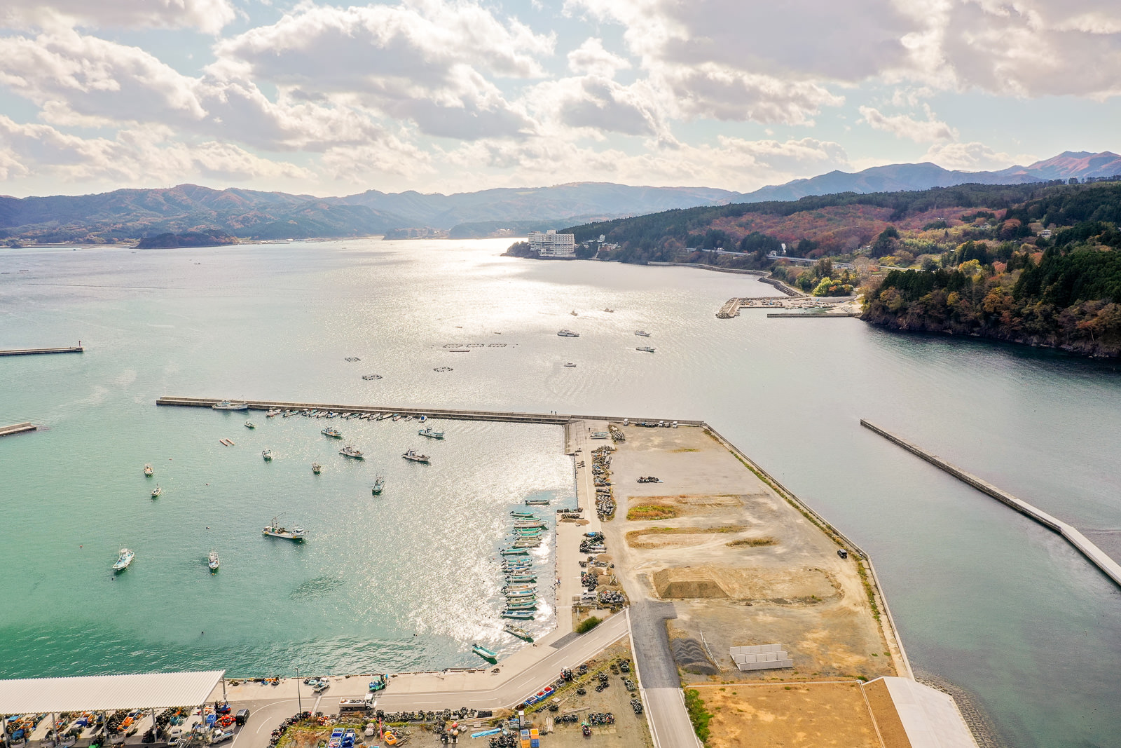 港に複数の船が停泊し、海上にも船が見られる海岸地域で、周囲には緑と紅葉が混ざった丘や山々が広がり、防波堤が海に突き出し、海面には太陽の光が反射し、港の隣には漁業や海事関連の施設と思われる建物がある海辺の空撮の写真