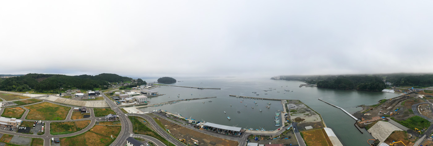 海に面した港町を上空から撮影した風景で、湾の中には多数の船が停泊しており、周囲には緑に覆われた山々と建物が点在している自然と人の営みが調和した港町の写真