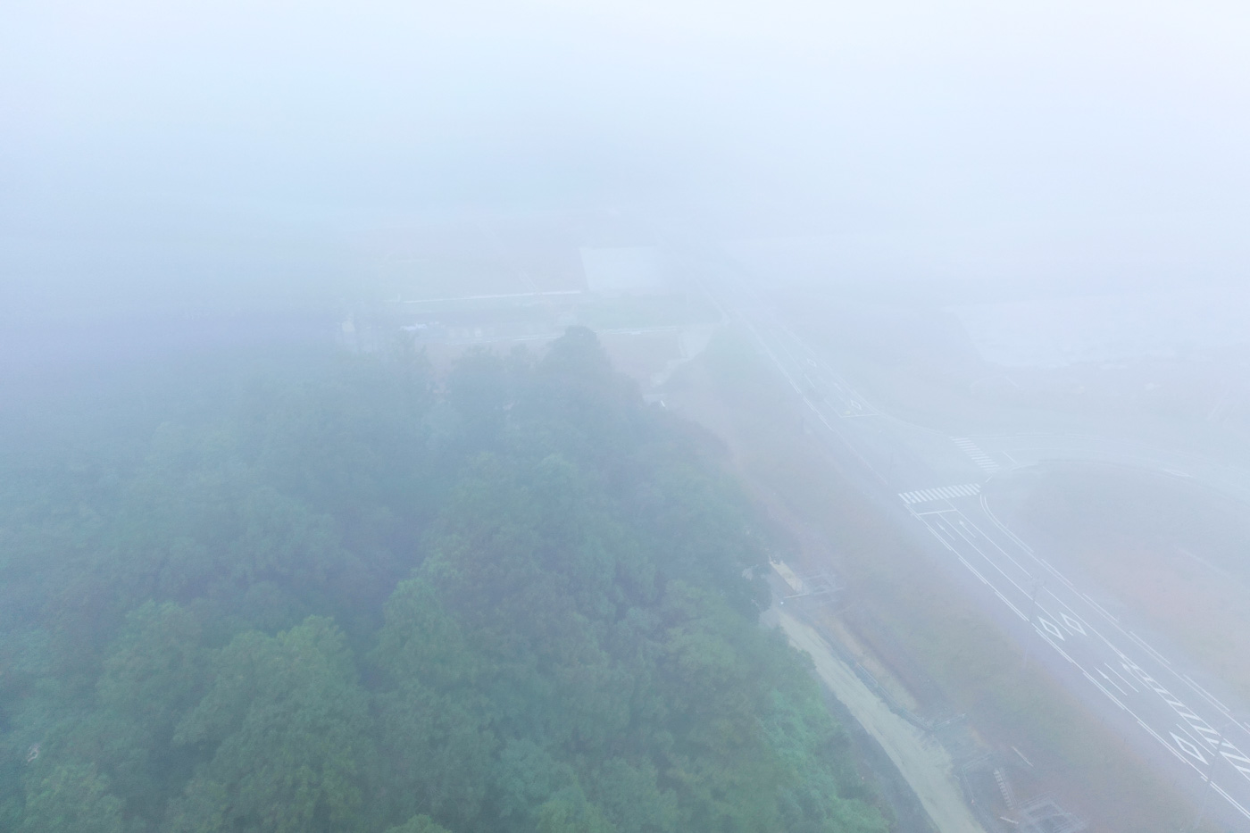 濃い霧に包まれた風景の中で、木々がかすかに輪郭を見せながら並び、その間を通る道路がぼんやりと伸びている静かな自然の様子が写された風景の写真