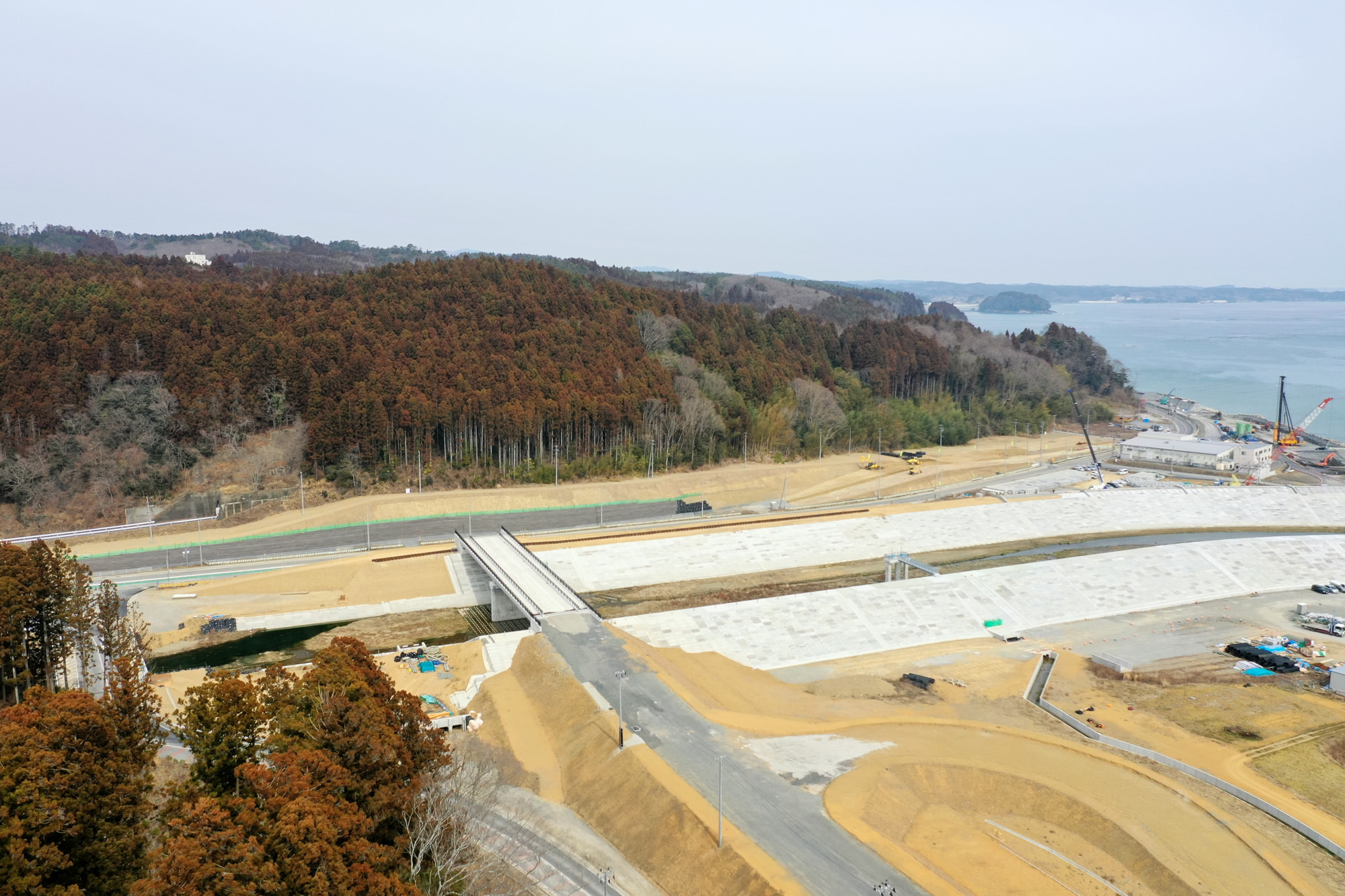 広々とした土地に建設中の橋と道路が伸びており、その周囲には木々が生い茂り、遠くには海が広がっている自然と開発が調和した風景の写真