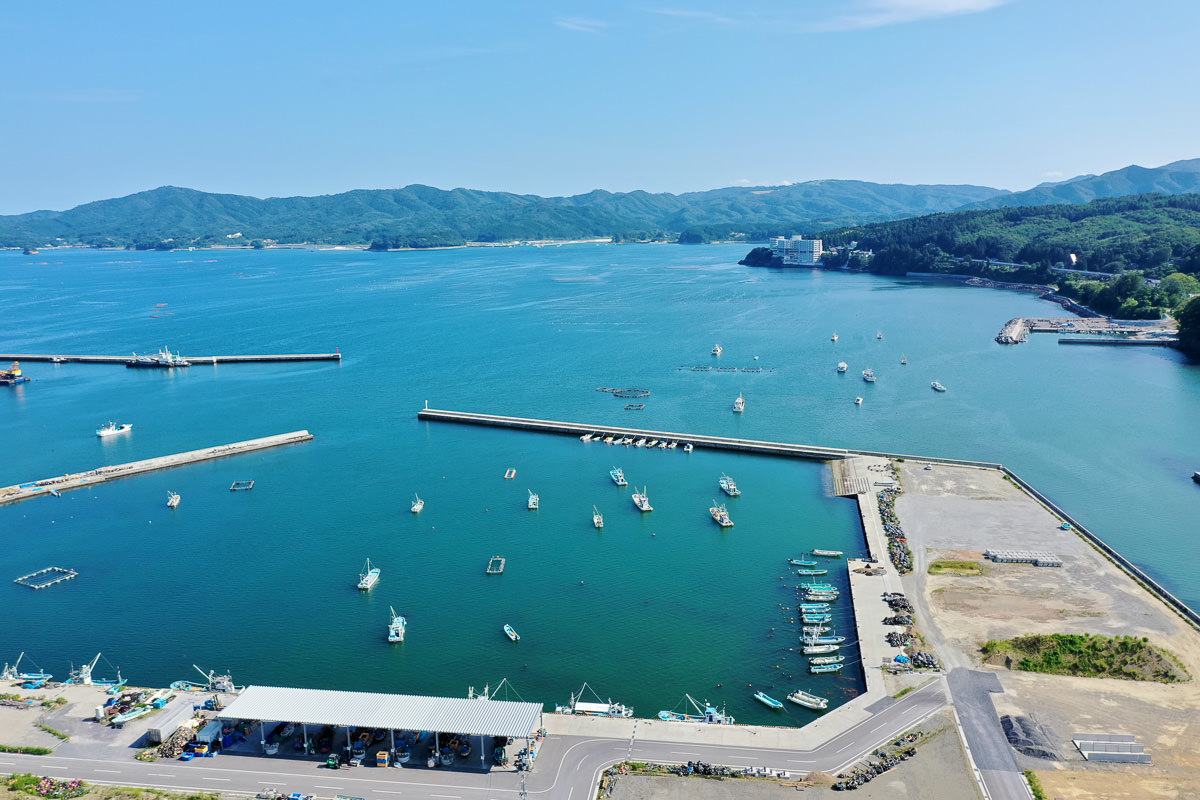海に面した港の風景で、複数の船が水面に停泊しており、防波堤が海に向かって伸びて港を守り、周囲には緑の丘と背景に山々が広がり、岸辺には港の運営に関係すると思われる建物があり、空は晴れて雲がほとんどない港湾地域の写真