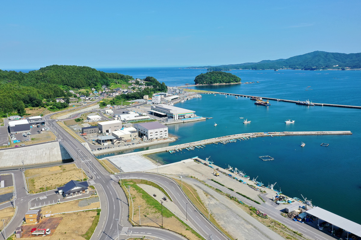 海に面した町の空撮で、港には複数の船が停泊しており、防波堤が海に向かって伸び、町には建物や道路が広がり、周囲には緑の丘と遠くに島が見え、空は青く晴れている港町の写真