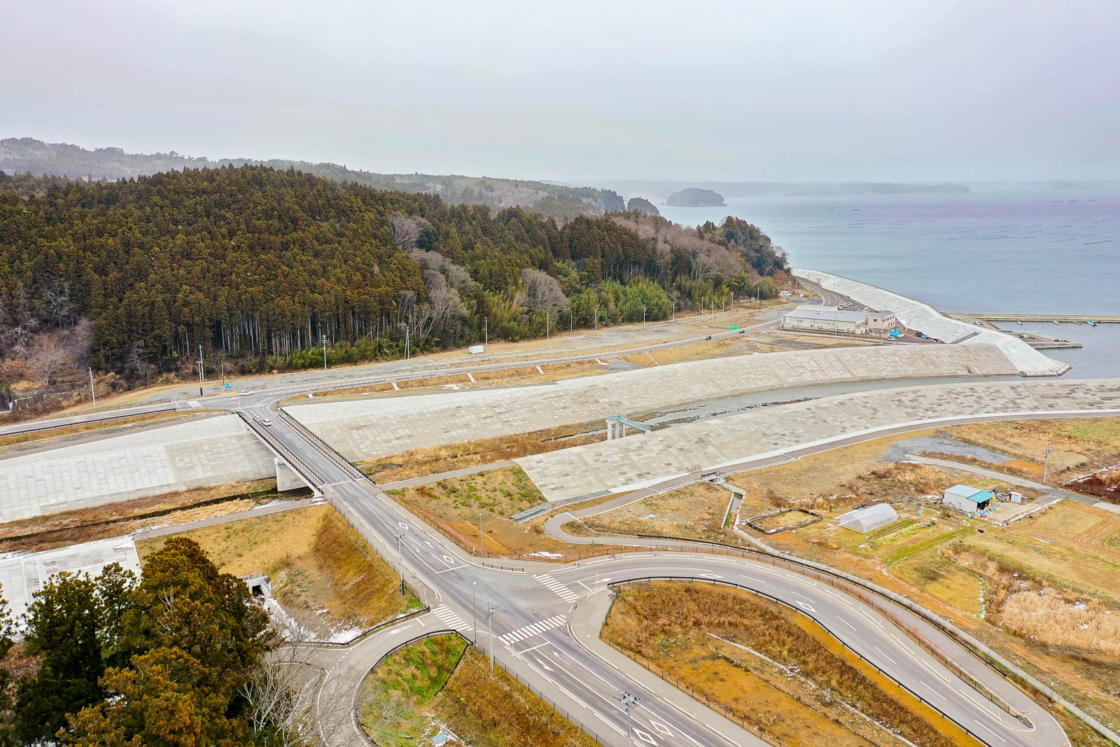 道路が交差する場所の先に森林が広がり、その手前には広大なコンクリートの防潮堤と更地がある、海岸沿いの再整備エリアの昼間の風景を高台から定点カメラで撮影した写真