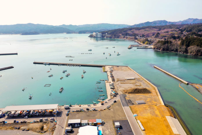 海に面した港を空から撮影した写真で、複数の船が停泊しており、周囲には山々が広がっている写真