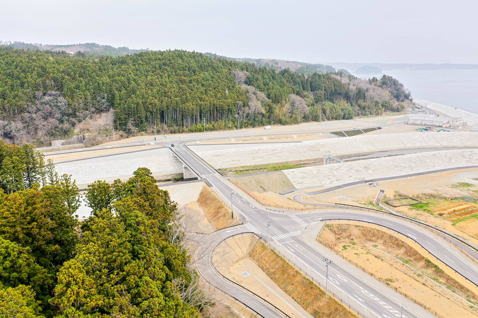 左側に広がる森林地帯と中央に交差する新設または建設中の道路、右側には海岸線と水面が見え、自然と開発が共存する様子を上空から捉えた風景の写真