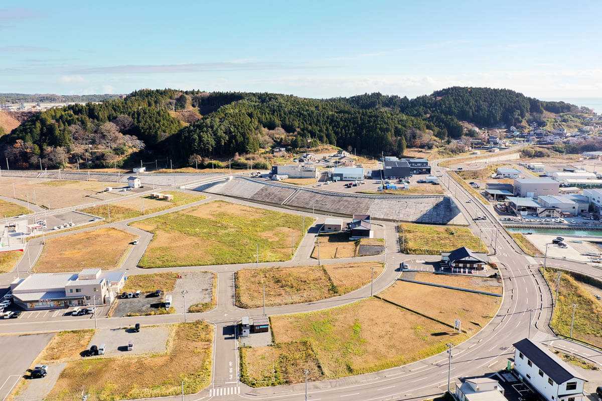 写真中央から奥にかけて広がる防潮堤がはっきりと見え、手前の平地部分は明確に道路で仕切られており、四角や台形に分けられた区画が広がっている写真