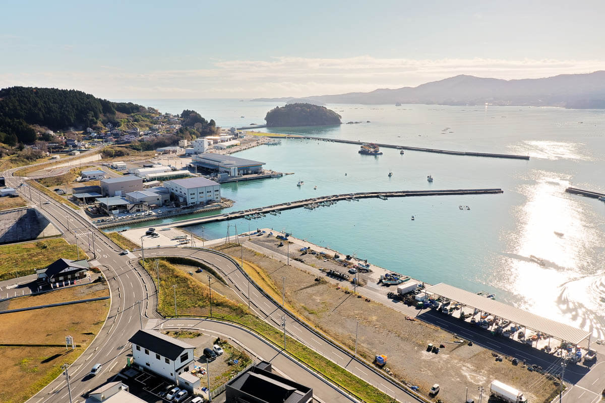 湾の出入り口には長い防波堤が設けられ、手前には大きな屋根付きの施設があり港内には多数の漁船が停泊している写真