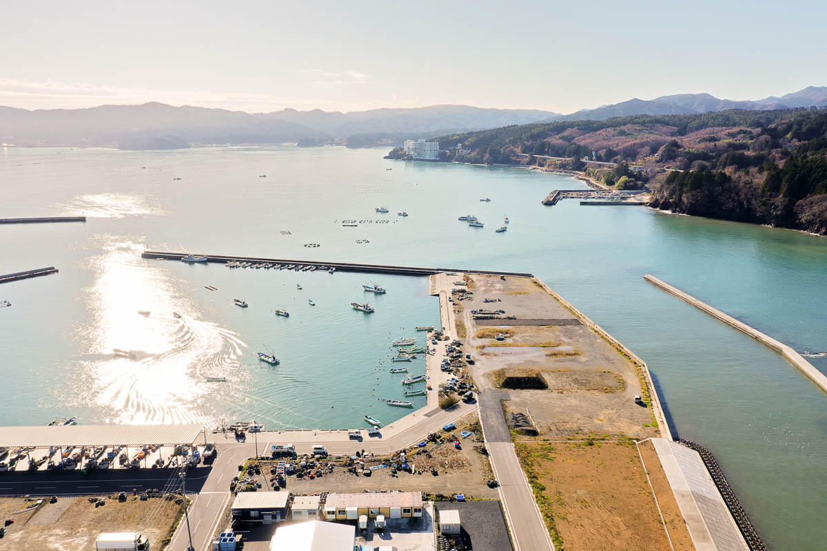 画面中央から左右に伸びる複数の防波堤が確認でき堤防内には小型漁船が多数停泊しており、右手の埋め立て地や岸壁は、災害時の避難路や荷捌きスペースとして利用できるように広く整地されている写真