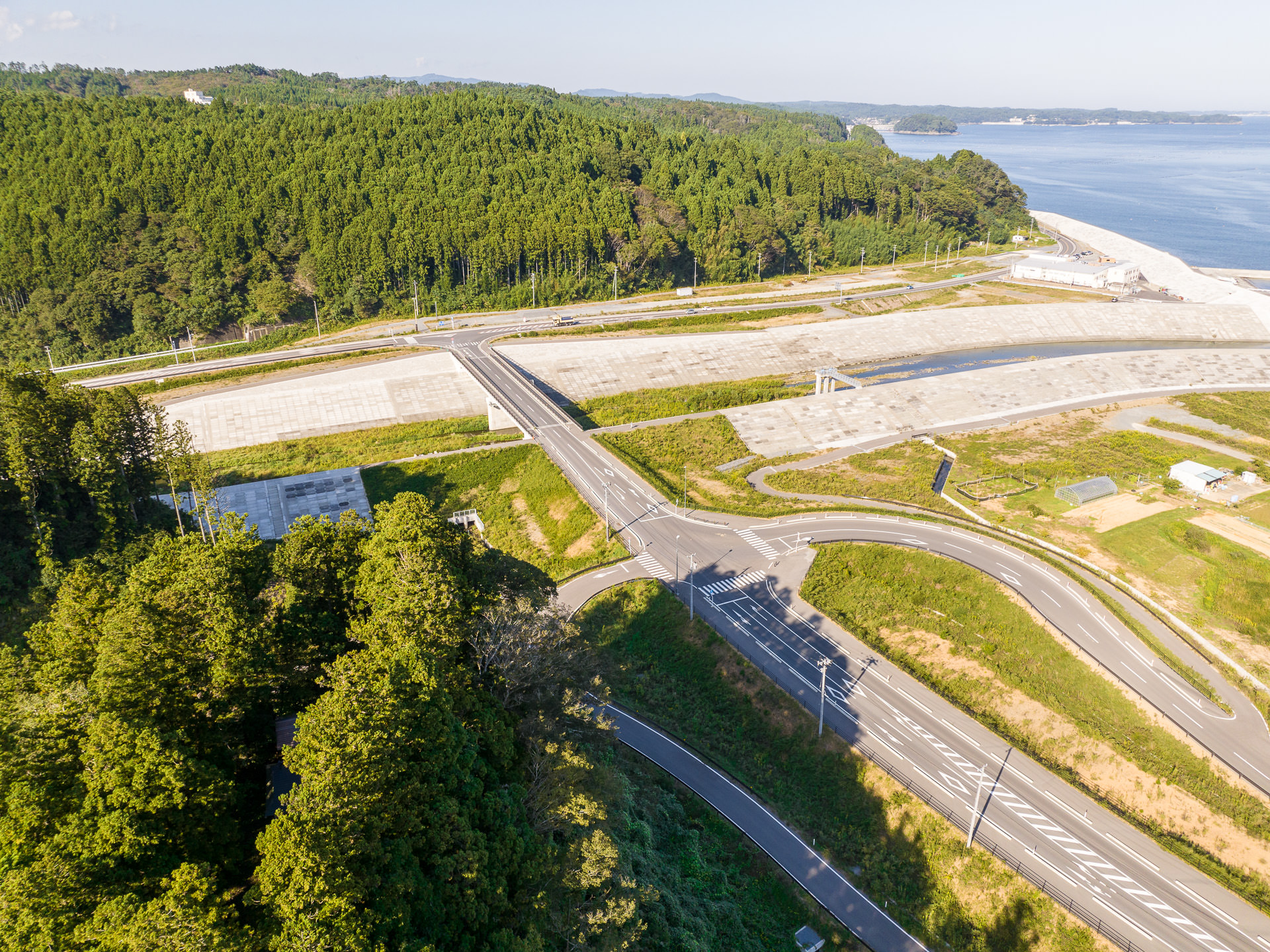 海岸沿いに整備された道路が見え、森の中を横切る橋と湾に続く護岸工事の様子が確認できる昼間の風景を高台から定点カメラで撮影した写真