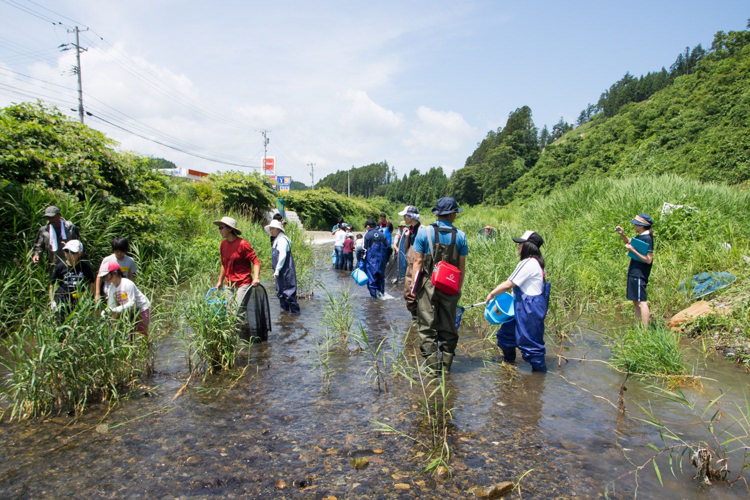 緑に囲まれた八幡川の浅い川の中で複数の人物が帽子や胴長などの野外活動用の服装を着て立っており、網やバケツを持って水中の生き物を採取している様子が写されている写真